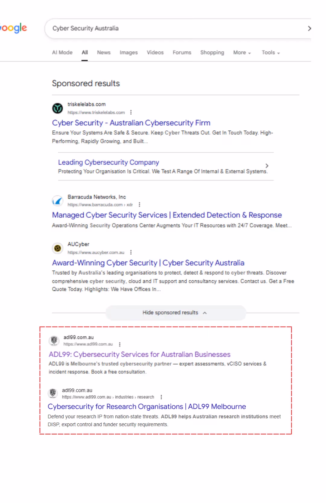 Pineapple Funding — case study