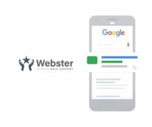 Webster NDIS Google Ads